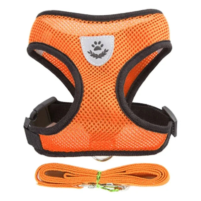 Harness Vest - Walking Lead Leash