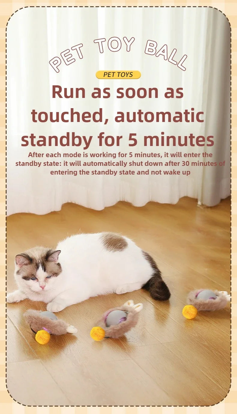 Cat Interactive Electric Ball