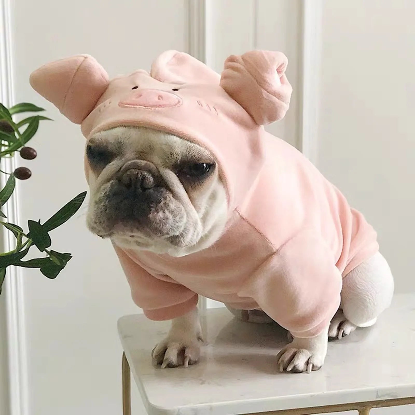 Warm Fleece Deer Pet Costume
