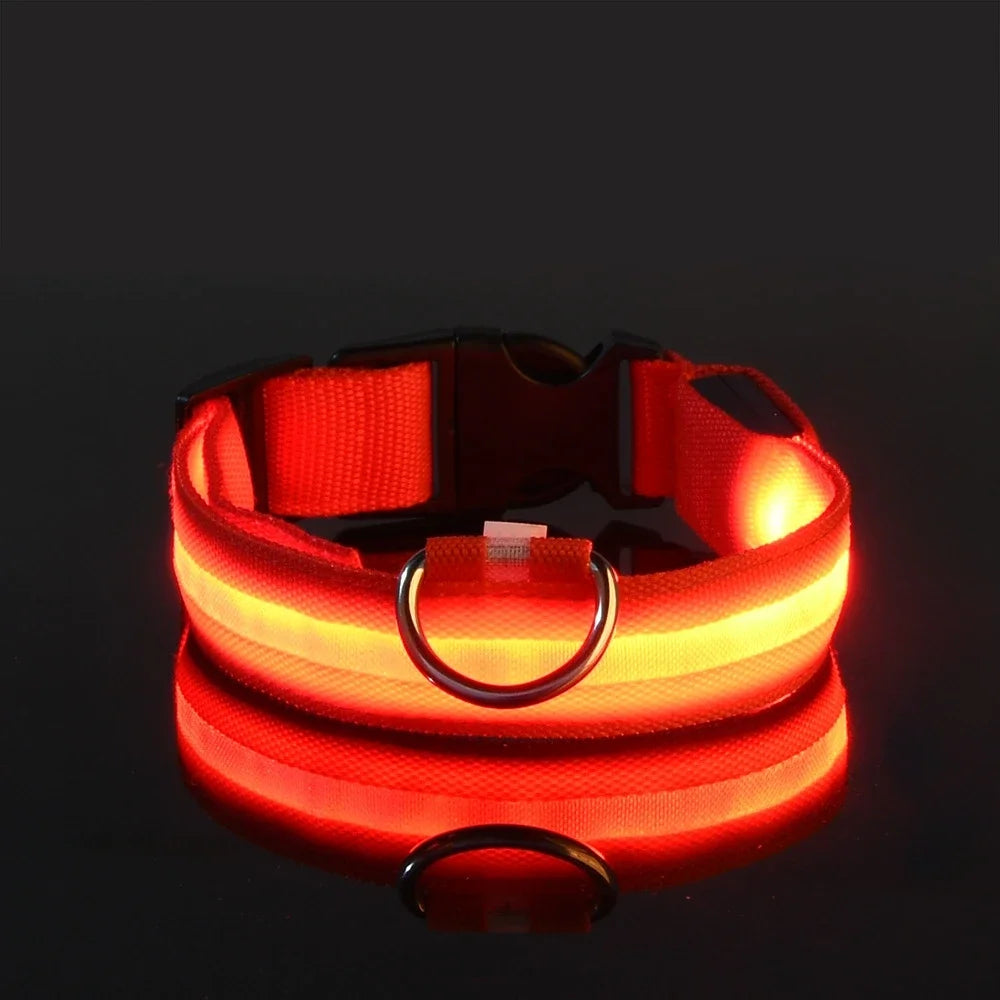 Dog Collar With LED Night