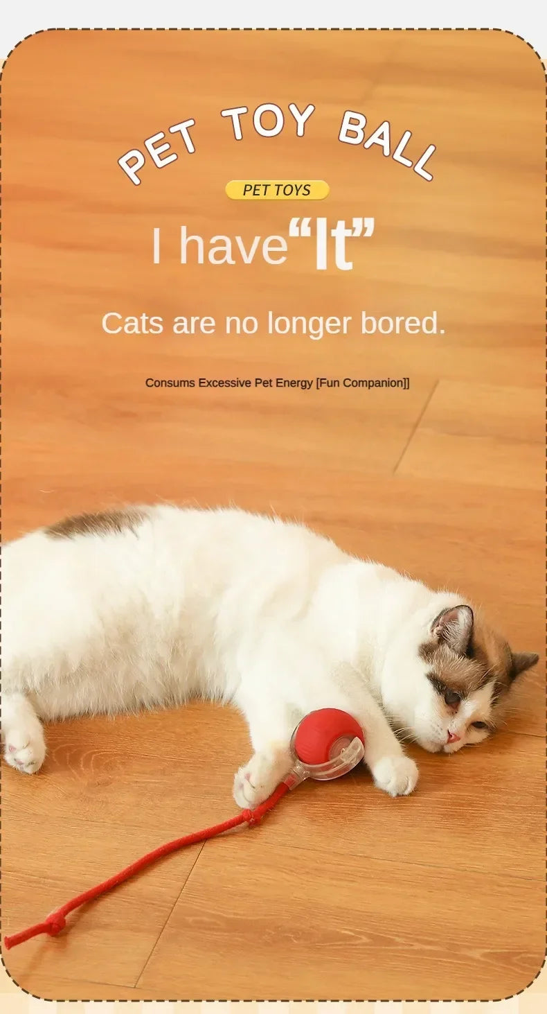 Cat Interactive Electric Ball