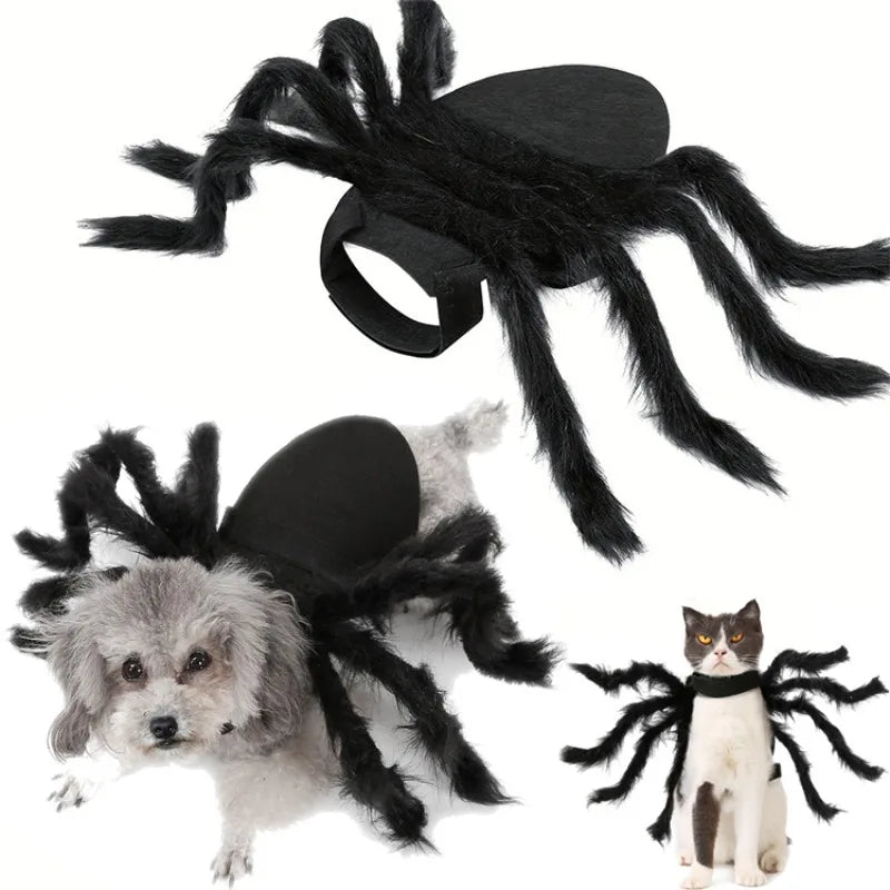 Spider Costume