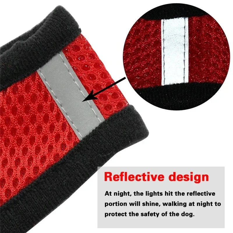 Harness Vest - Walking Lead Leash