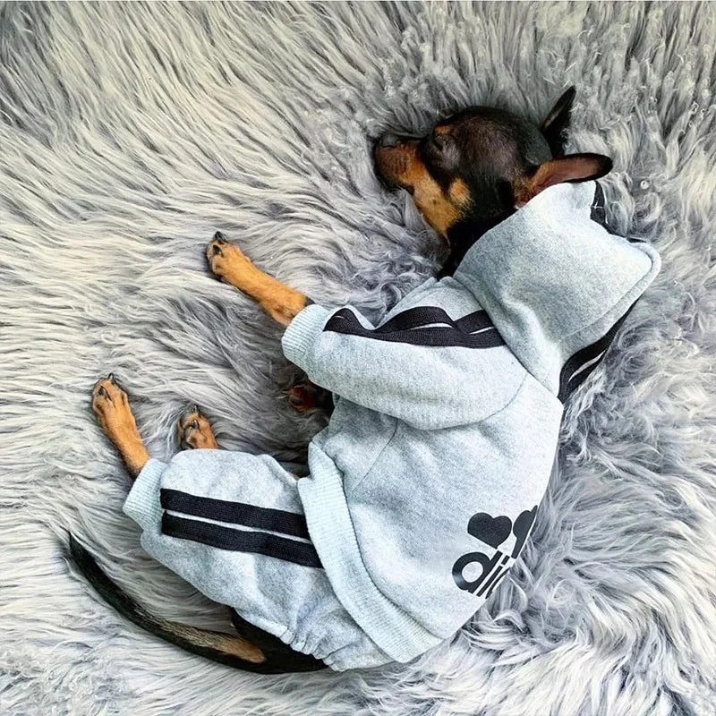Pet Clothes With Hood