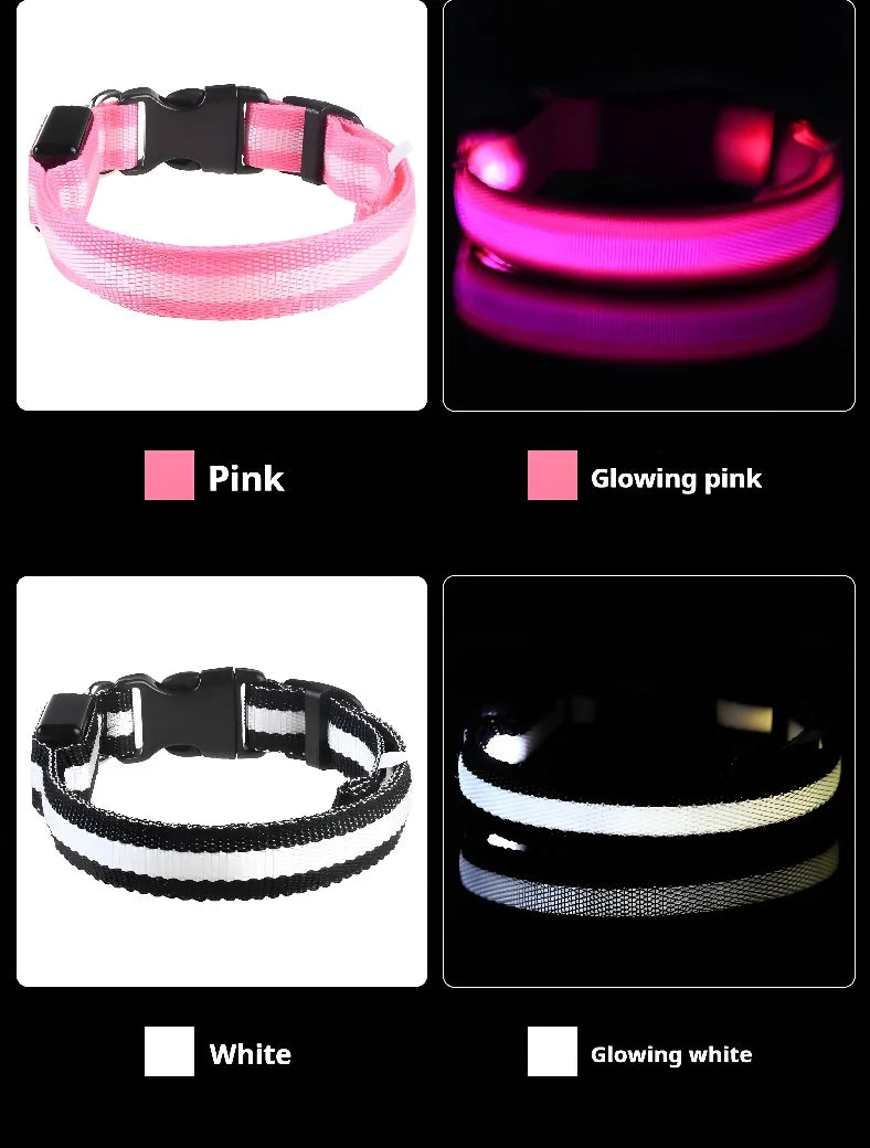 Dog Collar With LED Night