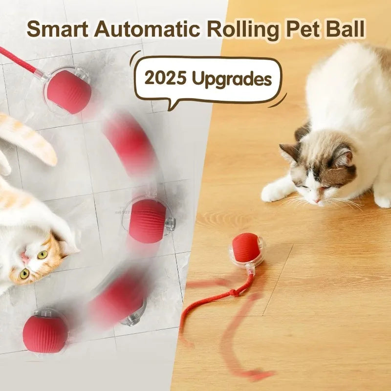 Cat Interactive Electric Ball