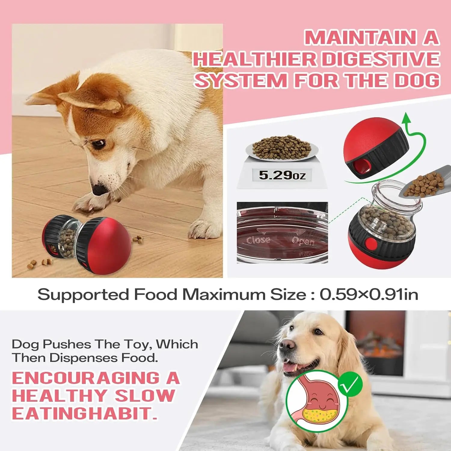 Dog Puzzle Toy Elliptical Track Rolling Ball