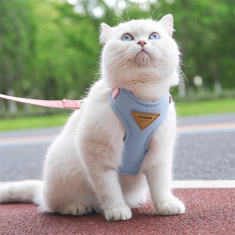 Cat Outdoor Walking Supplies