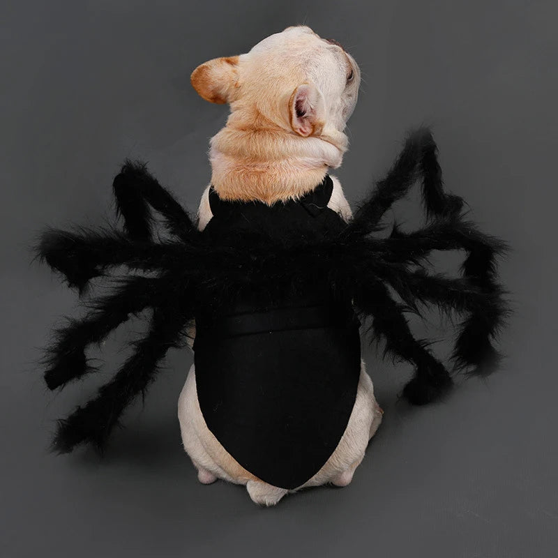 Spider Costume