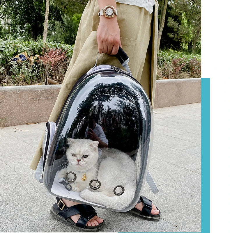 Pet Transparent Backpack