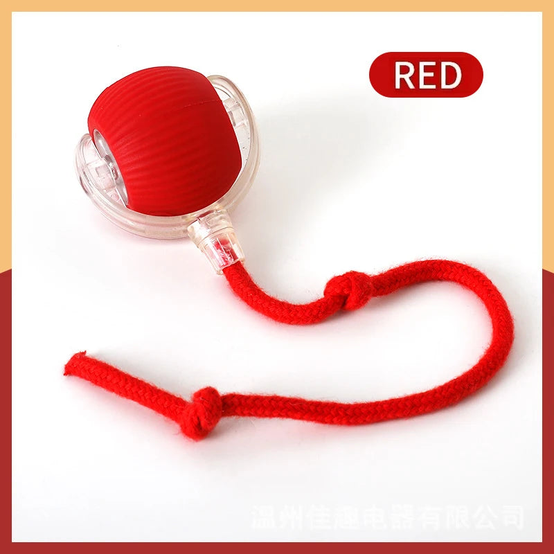 Smart Pet Toy Electronic Ball