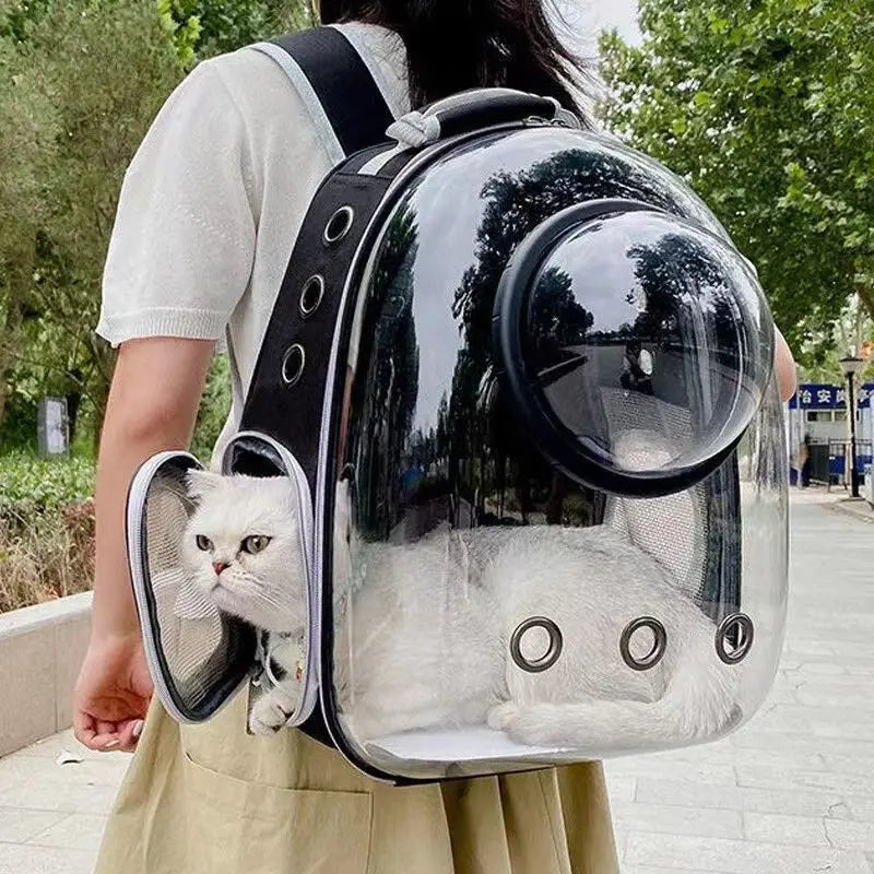 Pet Transparent Backpack