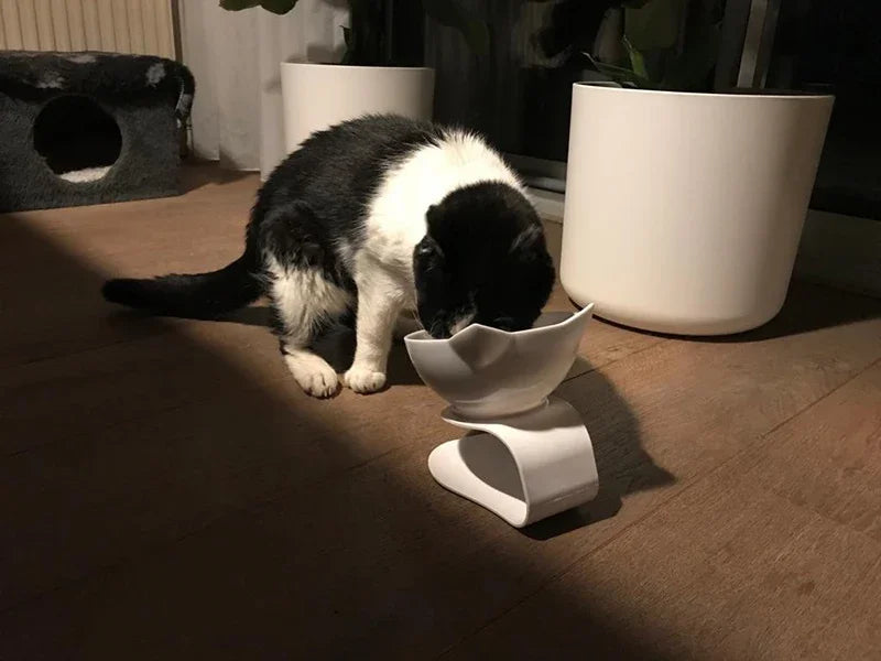 Non-Slip Cat Bowl