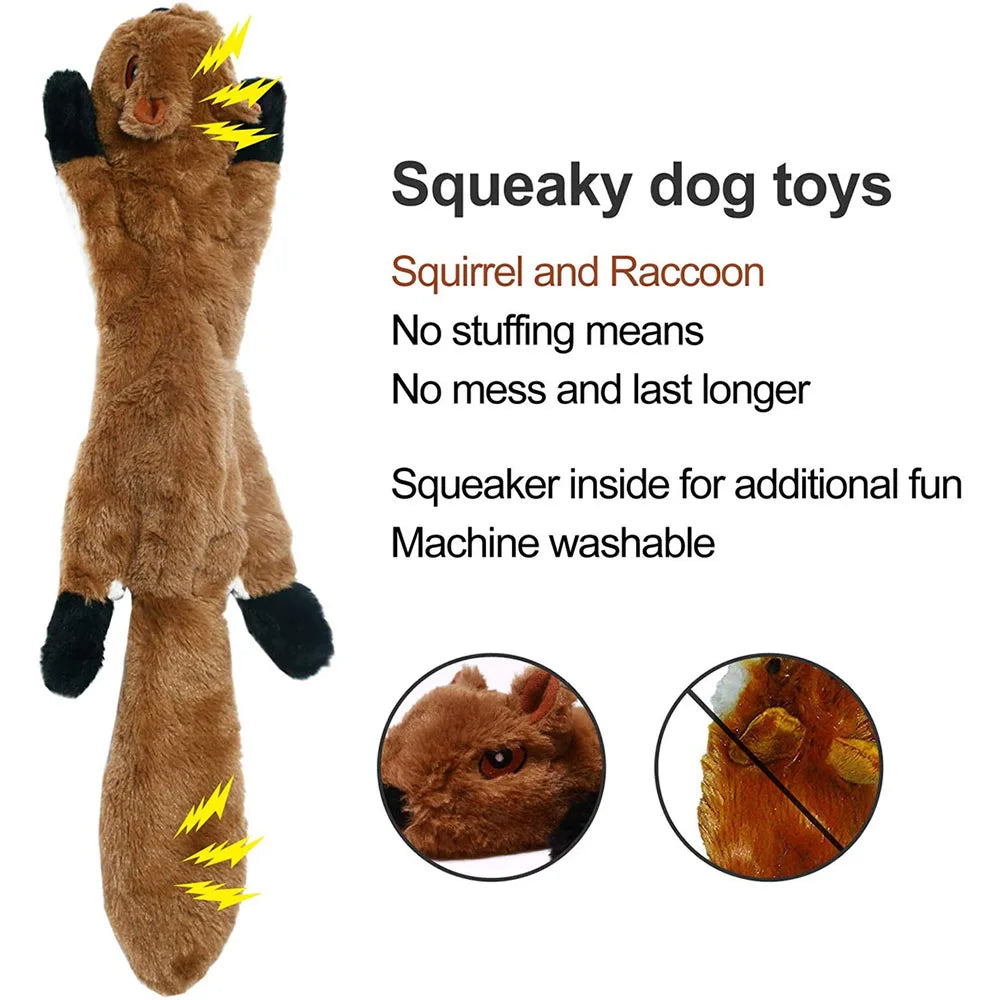 Squeaky Dog Chew Toy
