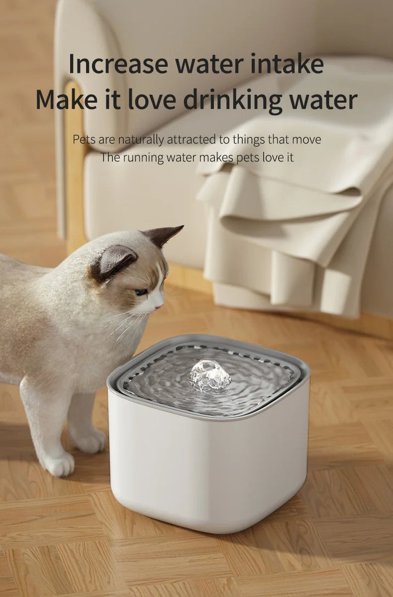 3L Cat Water Fountain & Filter