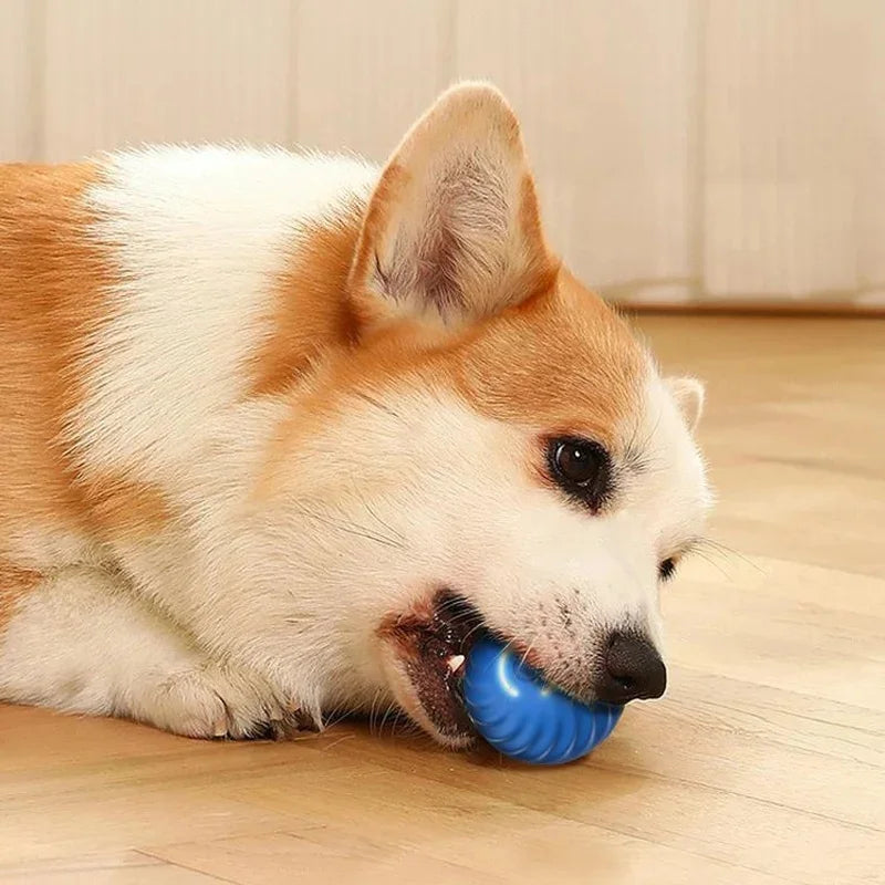 Smart Pet Toy Electronic Ball