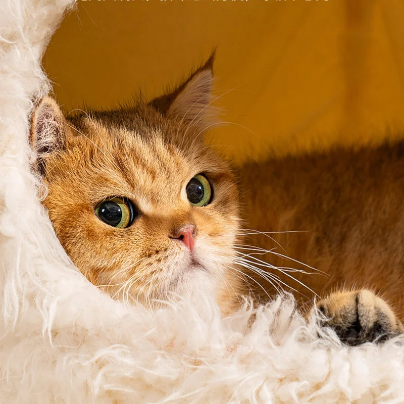 Comfortable Cats Bed