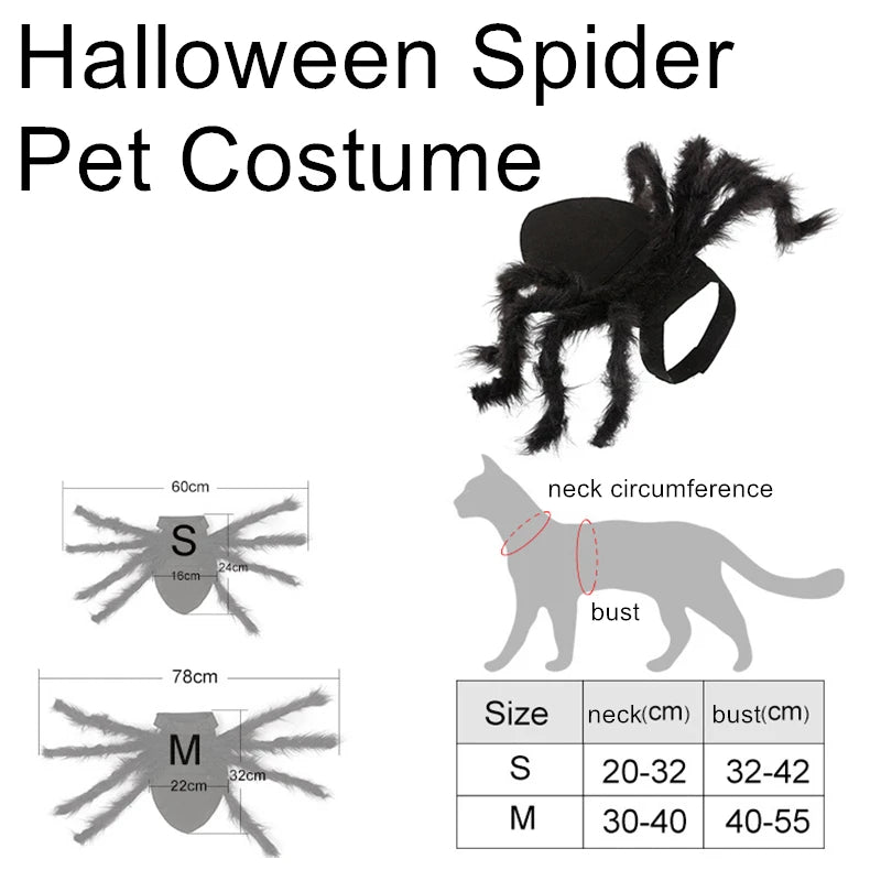 Spider Costume