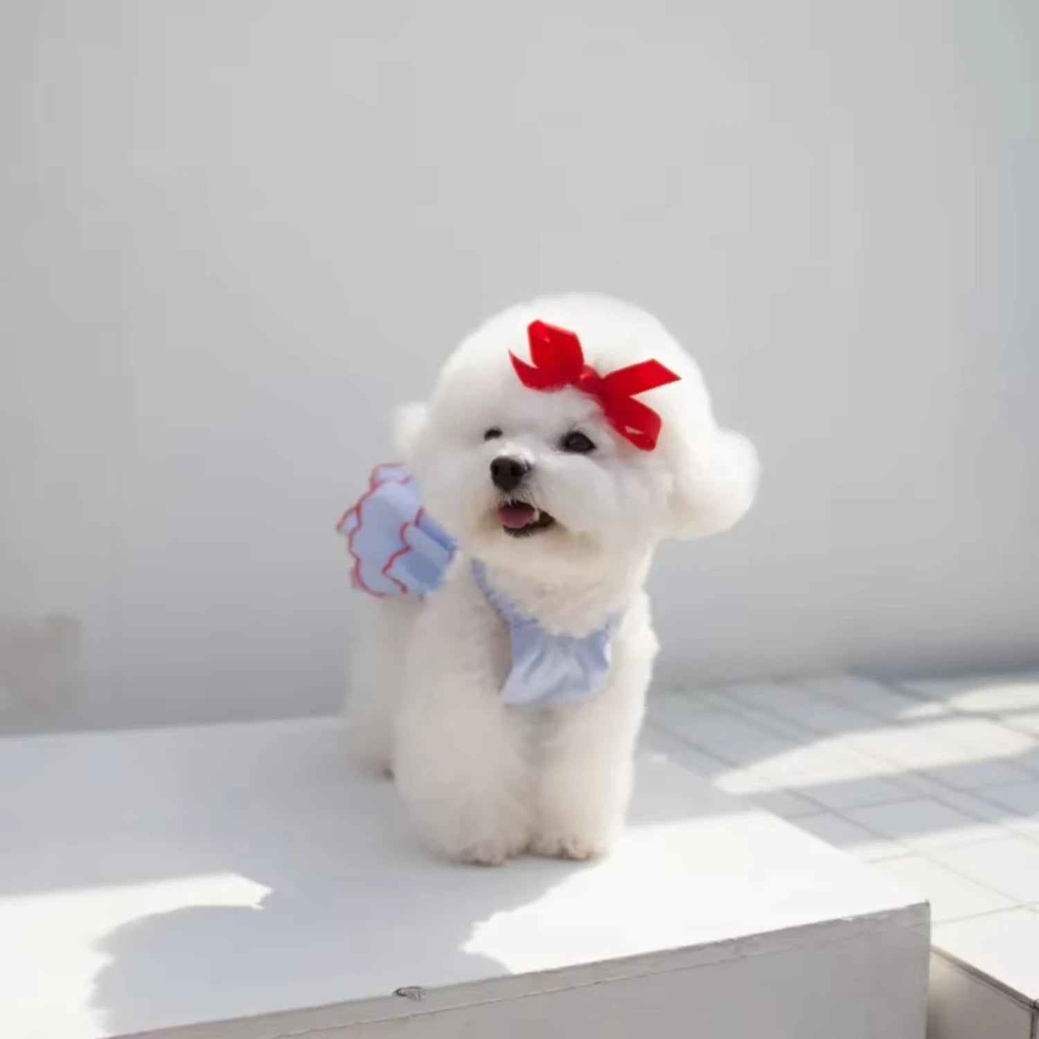 Cute Puppy Princess Dress