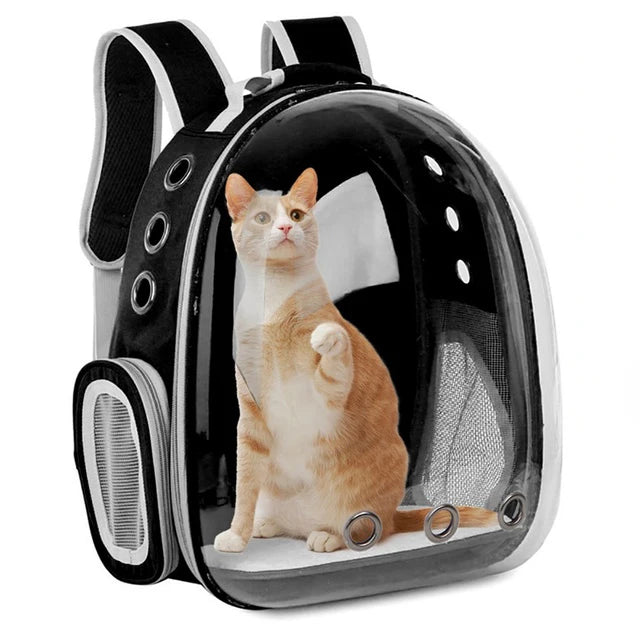 Pet Transparent Backpack