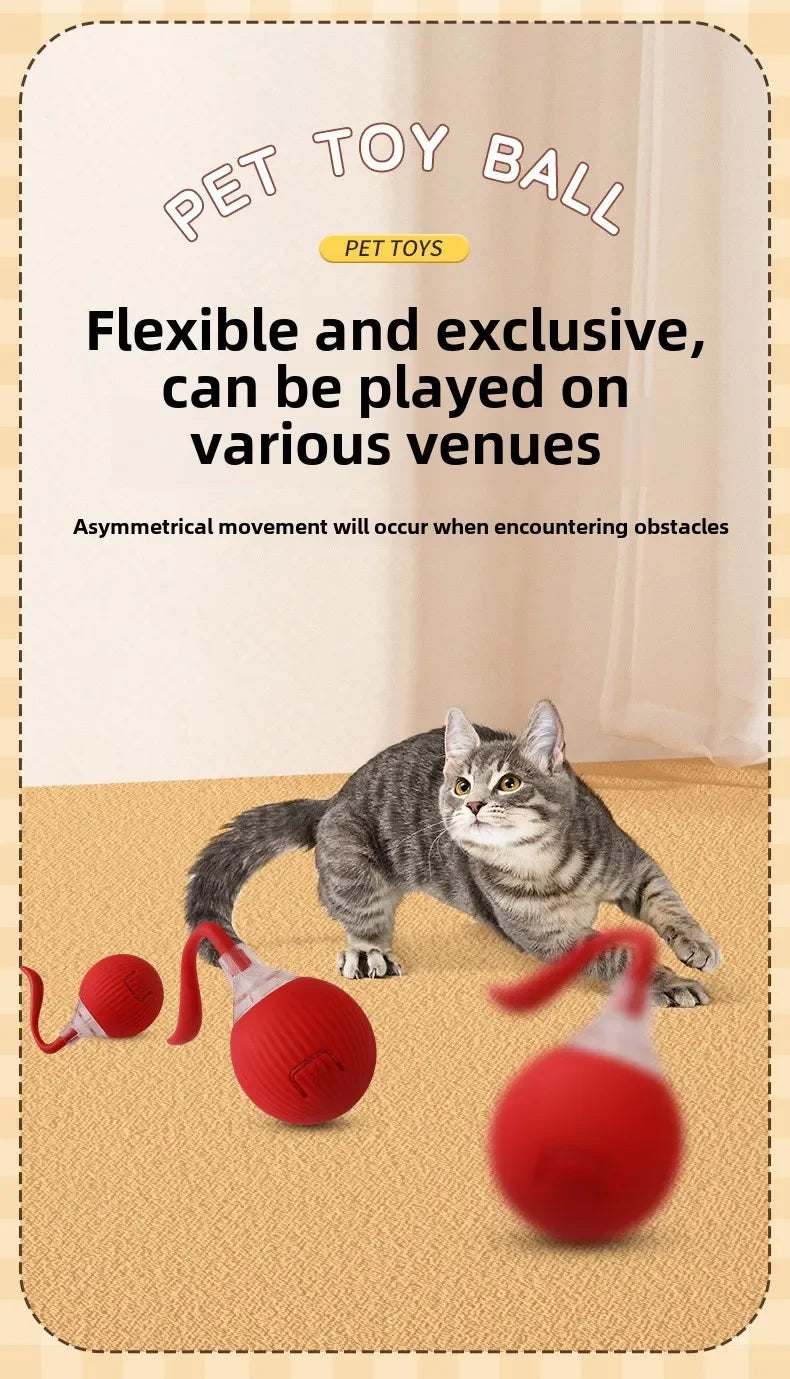Cat Interactive Electric Ball