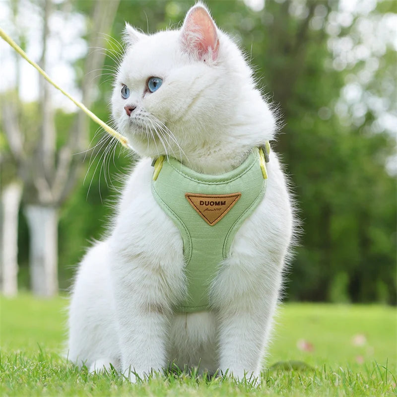 Cat Outdoor Walking Supplies
