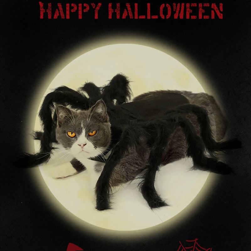 Spider Costume