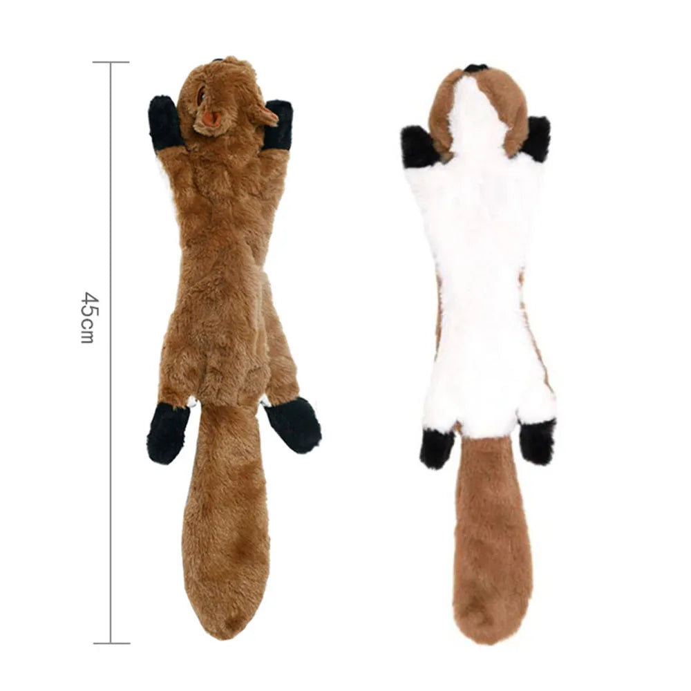 Squeaky Dog Chew Toy