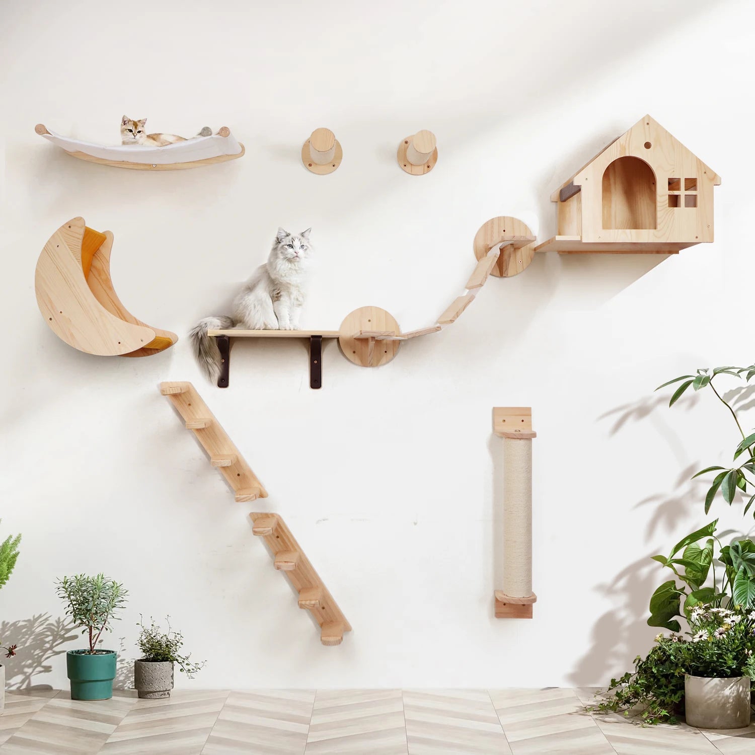 Cat Climbing Shelf Wall Mounted