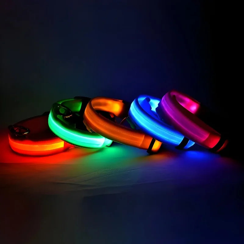 Dog Collar With LED Night