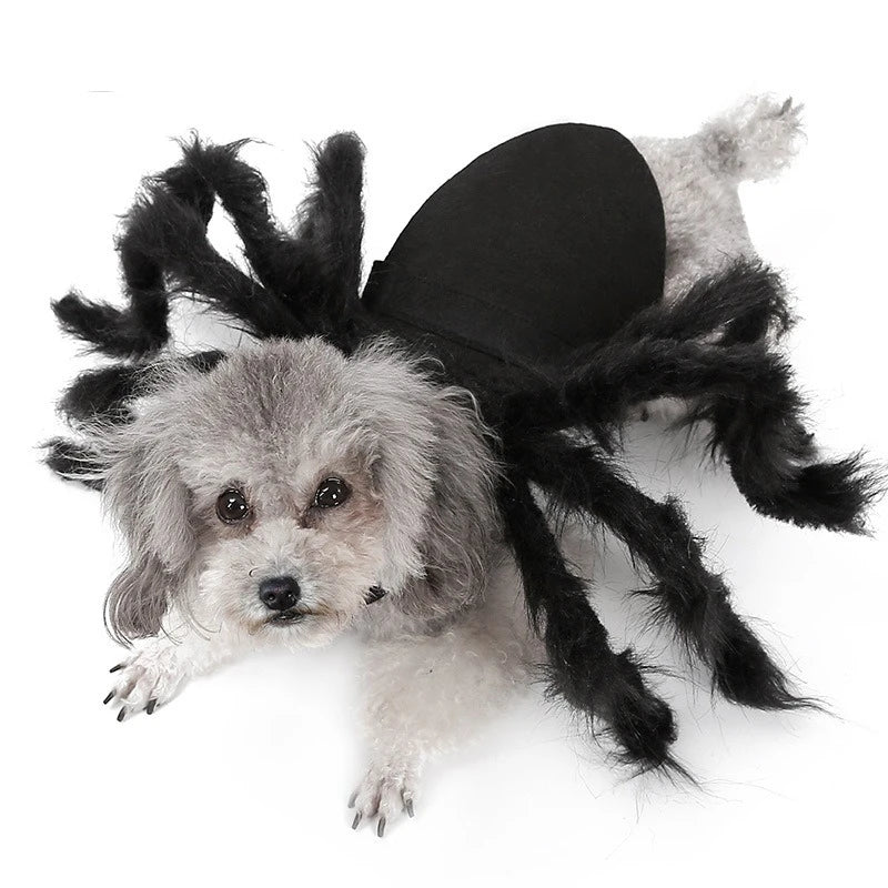 Spider Costume