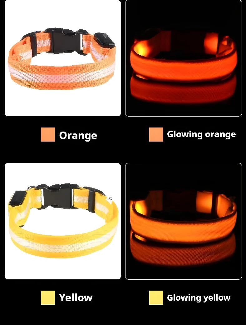 Dog Collar With LED Night