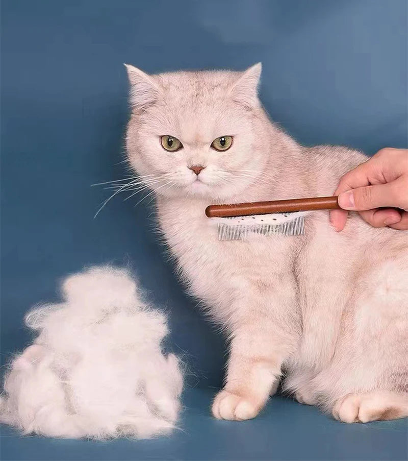 Stainless Steel Pet Hair Remover