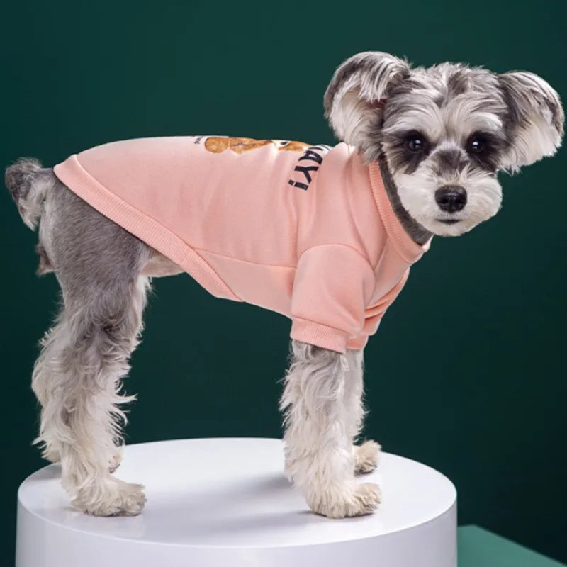 Cute Puppy Sweatshirt - Bear Pattern