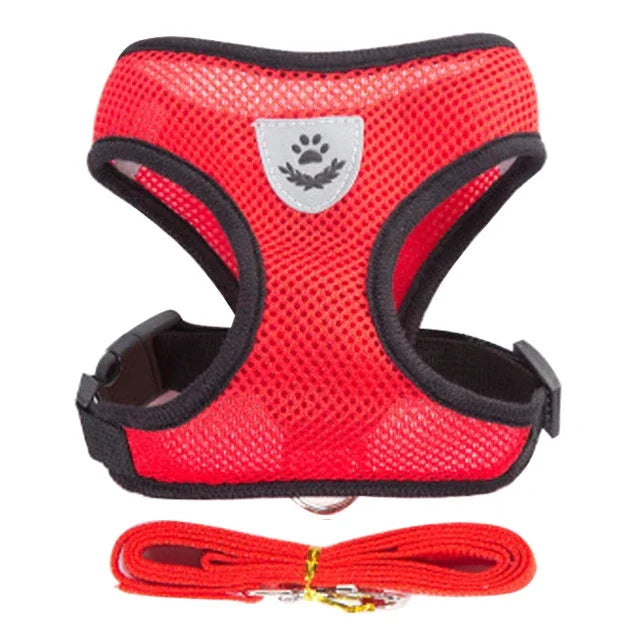 Harness Vest - Walking Lead Leash