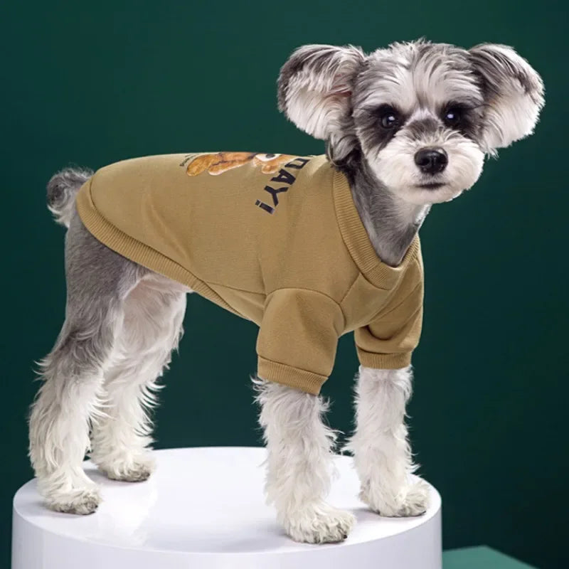 Cute Puppy Sweatshirt - Bear Pattern