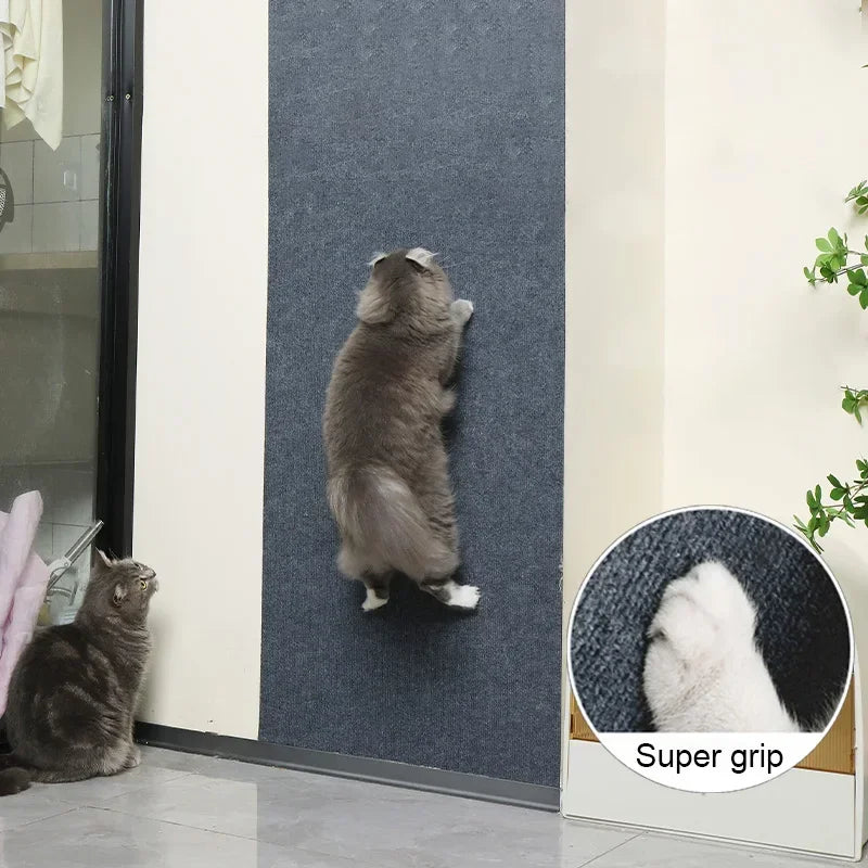 Self-Adhesive Carpet - Cats Scratch Wall
