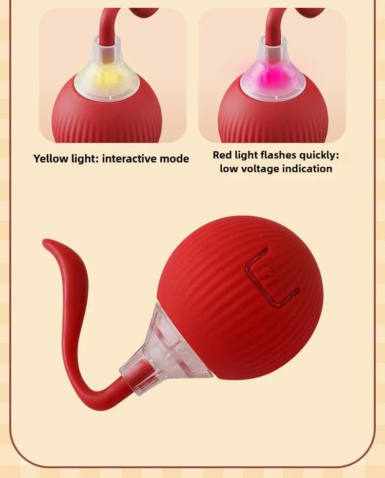 Cat Interactive Electric Ball