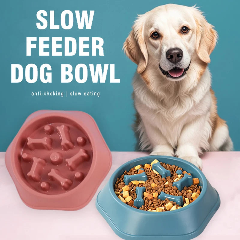 Slow Feeding Dog Bowl