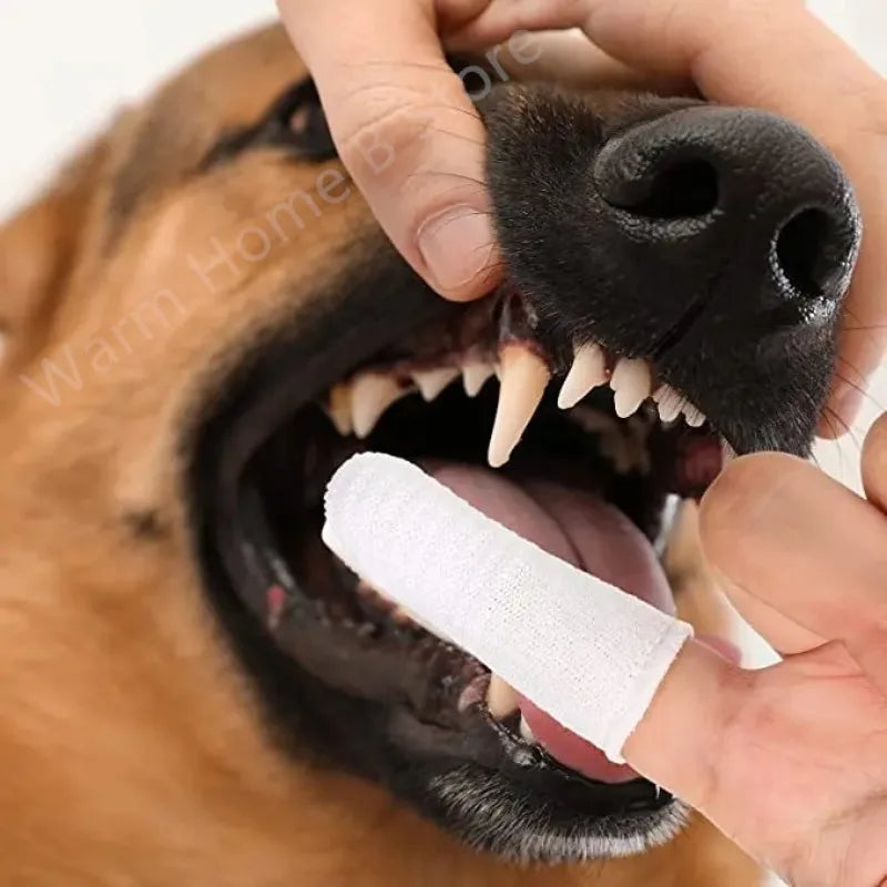 Pet Two-finger Brushing Finger