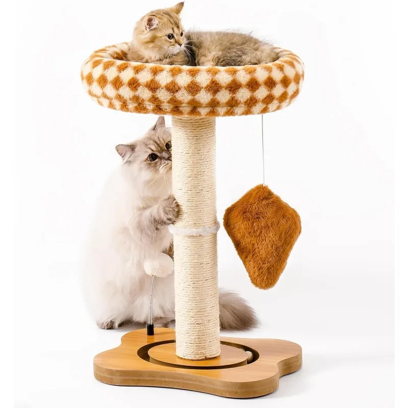 Cat Scratching Post with Bed