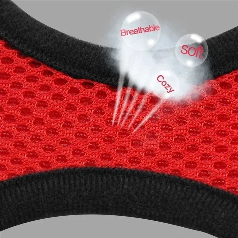 Harness Vest - Walking Lead Leash