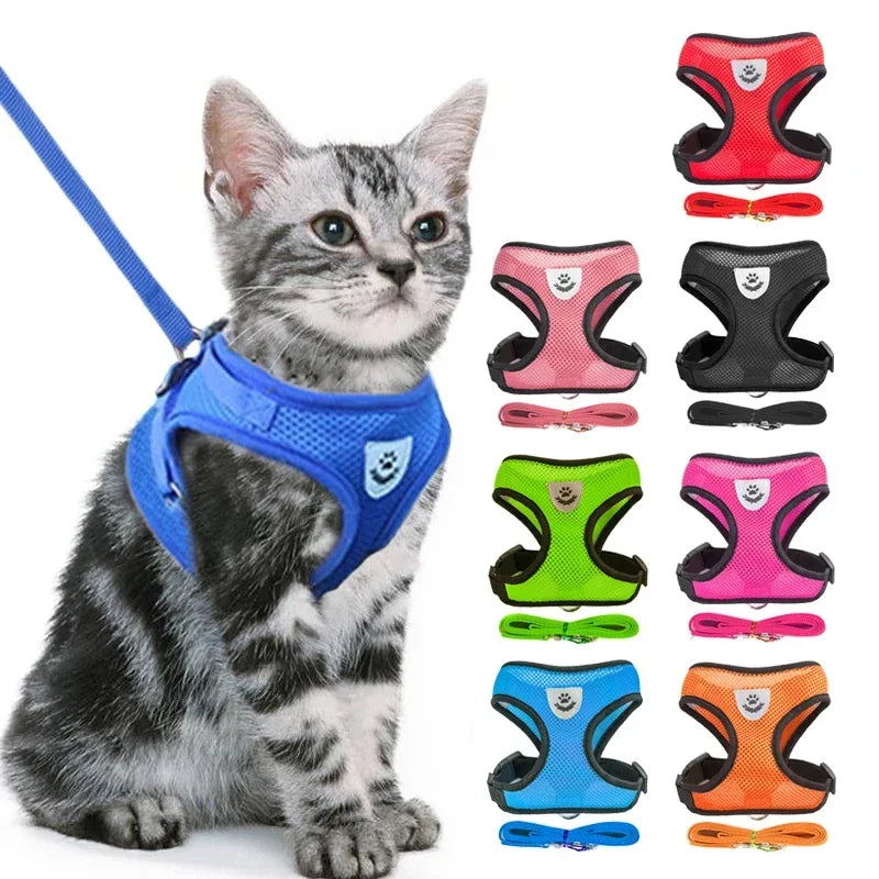 Harness Vest - Walking Lead Leash