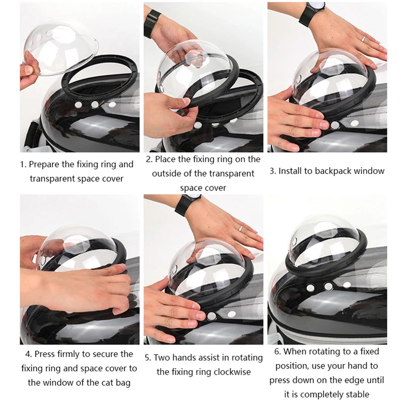 Pet Transparent Backpack