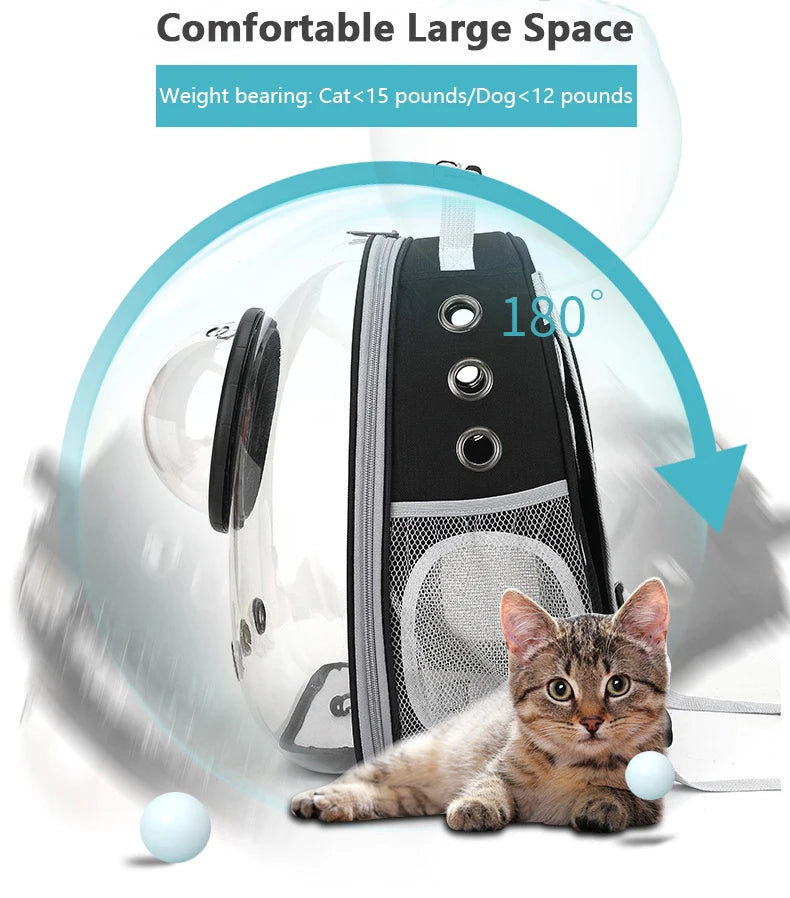 Pet Transparent Backpack