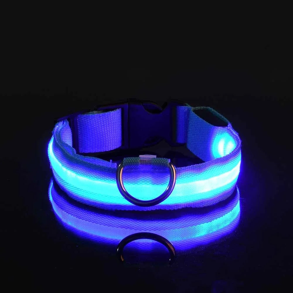 Dog Collar With LED Night