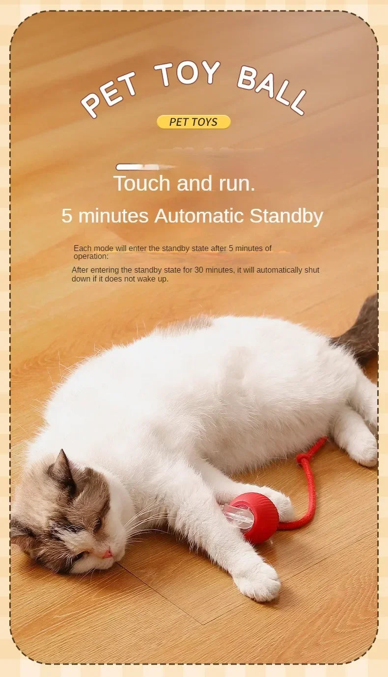 Cat Interactive Electric Ball