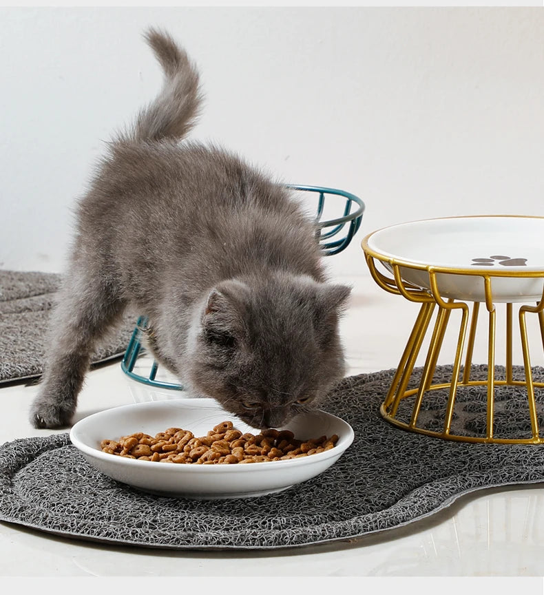 Raised Pet Bowl