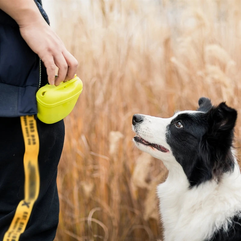 Pet Treat Bag