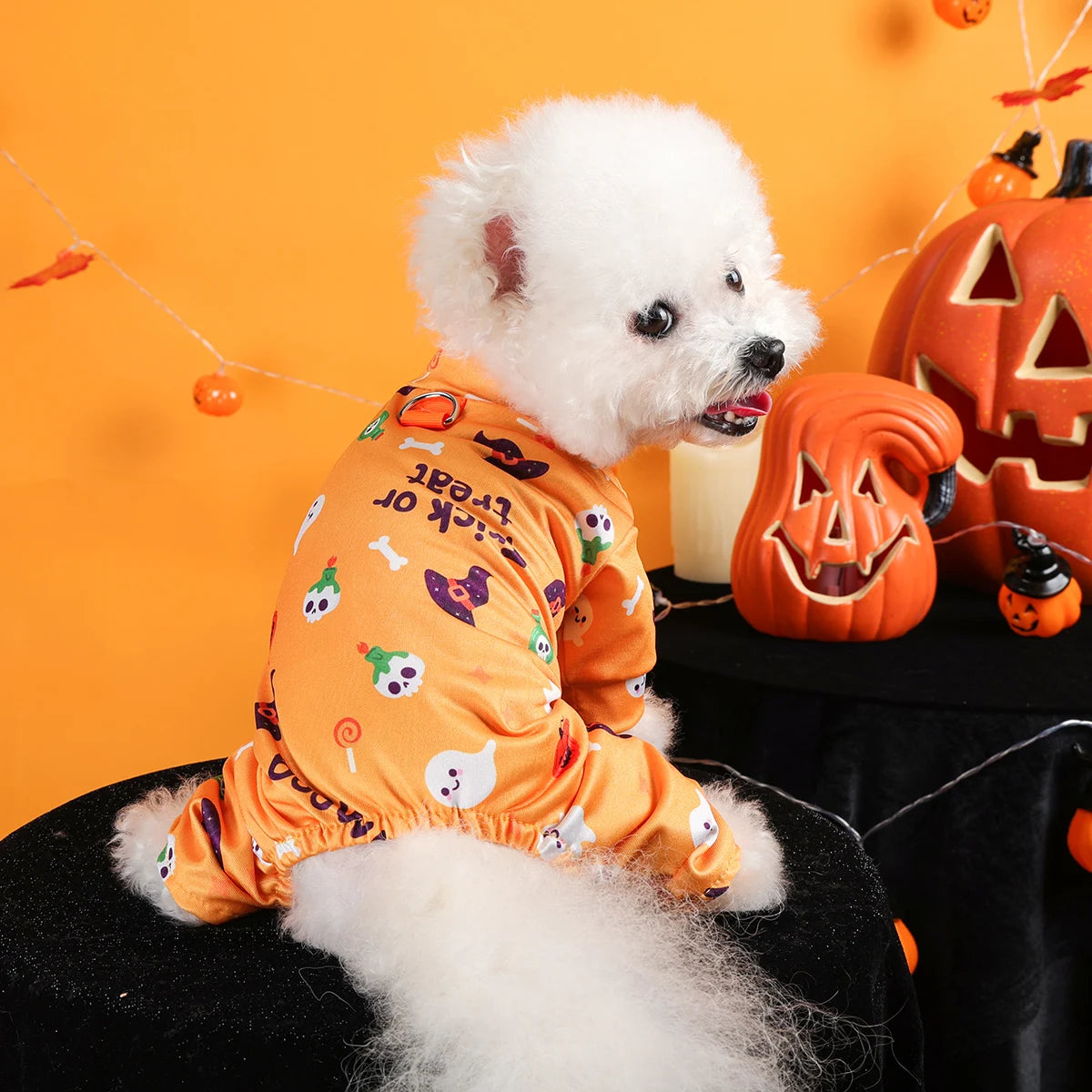 Breathable Halloween Clothes - Orange